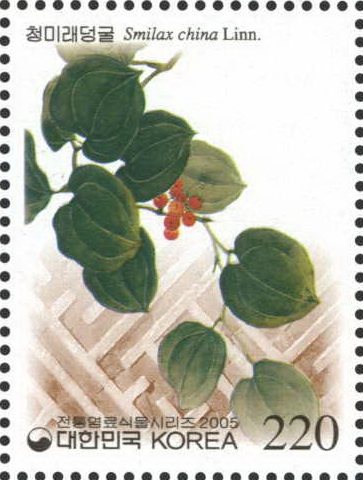 
													 		전통 염료식물 시리즈(누리장나무 외 3종)
													 	  