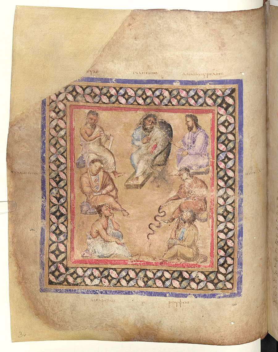 약물지 사본

고대 지중해 지역의 약초학자인 디오스코리데스(Pedanius Dioscorides, 40~90년경)가 저술한 필사본으로 양피지 491장(37cm×30cm)에 동식물 그림 400여 점이 포함되어 있다.